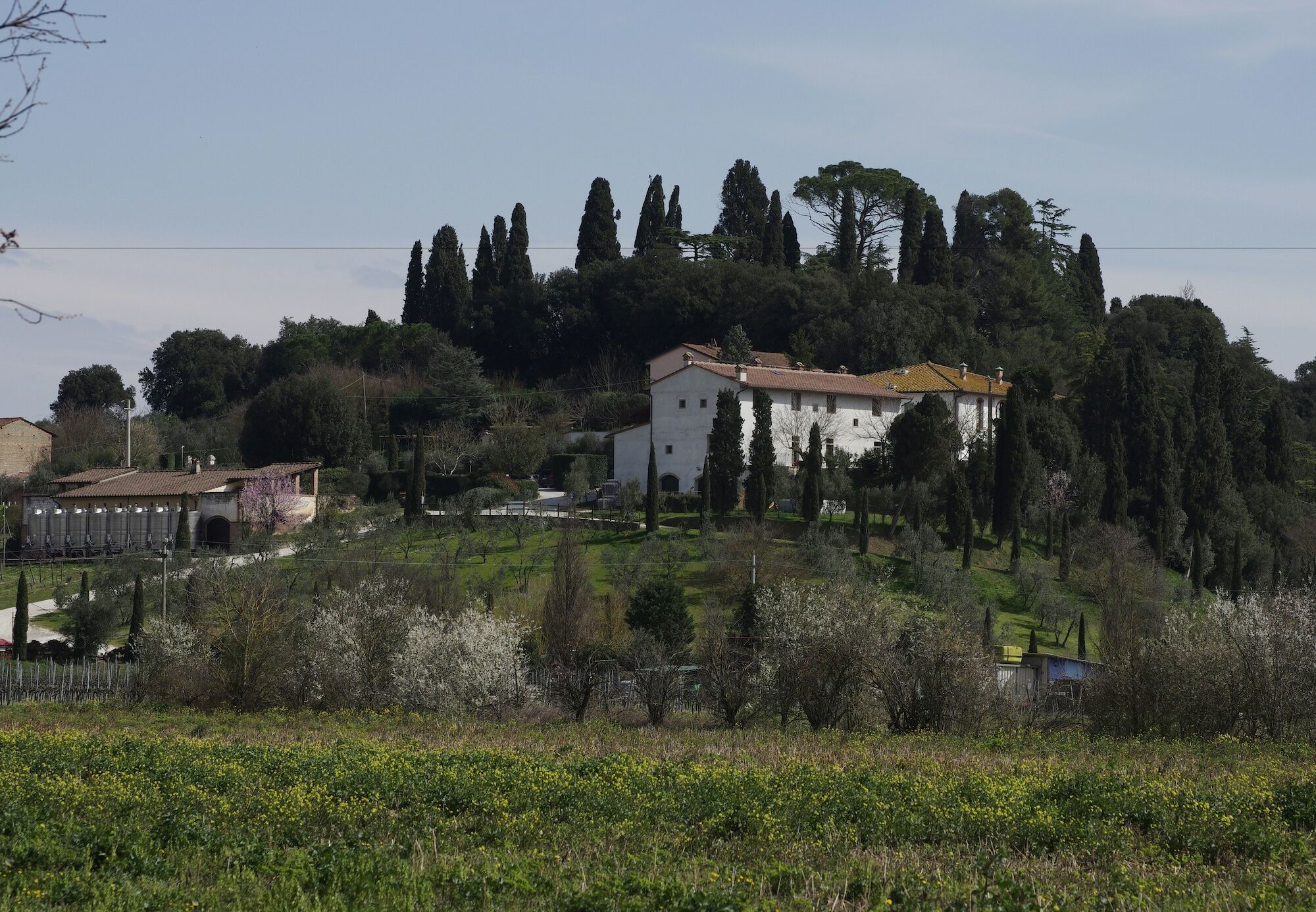 Bacco A Petroio Villa Vinci Exterior photo